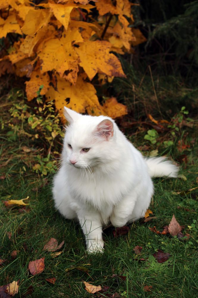 Photograph by Guntars