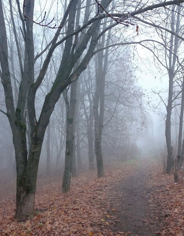 Photograph by Игорь Меньшенин