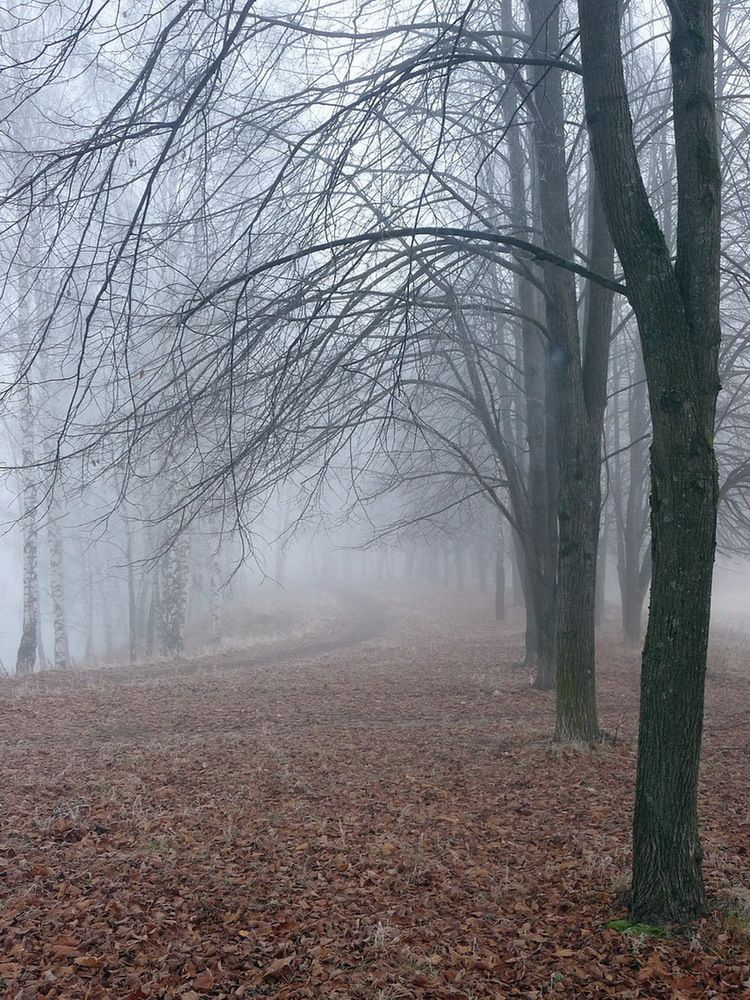 Photograph by Игорь Меньшенин