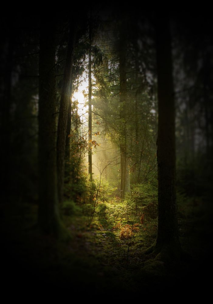 Photograph by Павел Минкевич