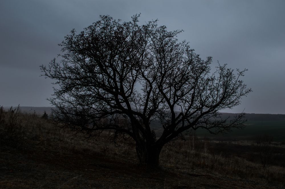 Photograph by Ангелина