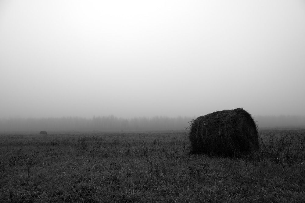 Photograph by Александр Кращук