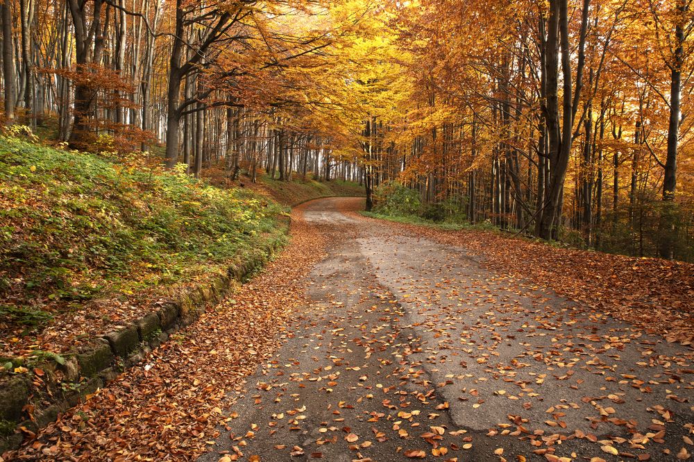 Photograph by Димитър Димитров