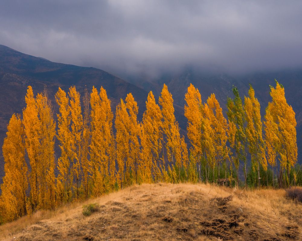 Фотография автора Alipour mohammad