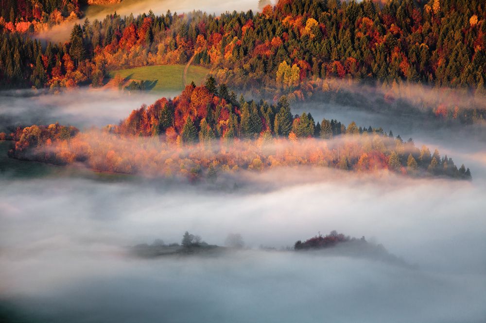 Photograph by Figat Marcin