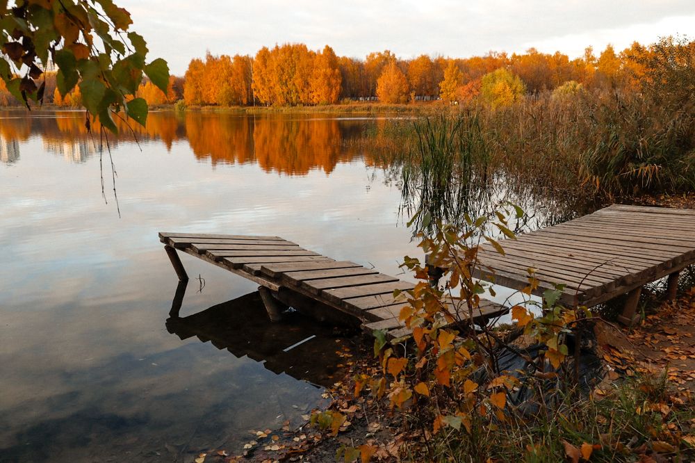 Photograph by Марина