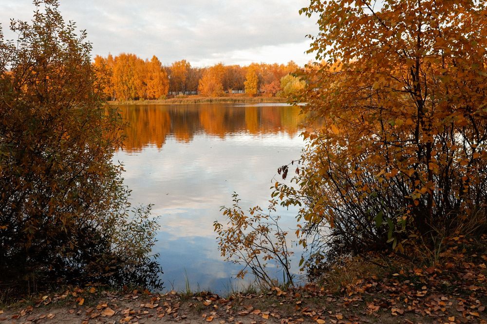 Photograph by Марина