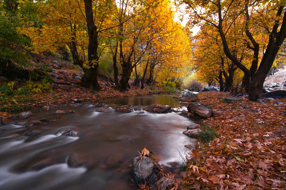 Photograph by Alipour mohammad