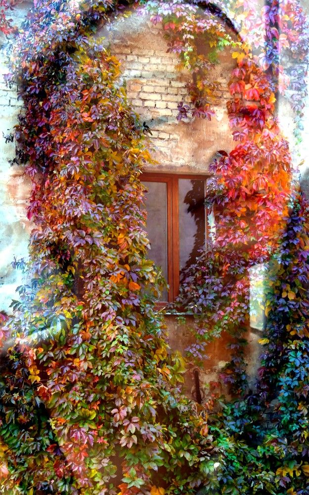 Женщина - закрытое окно... / Woman is a closed window ...