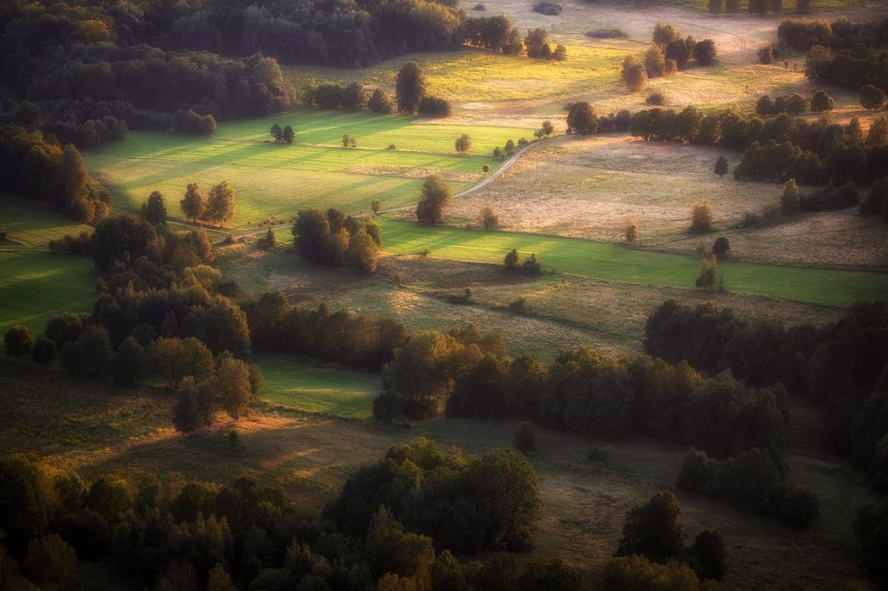 Photograph by Figat Marcin