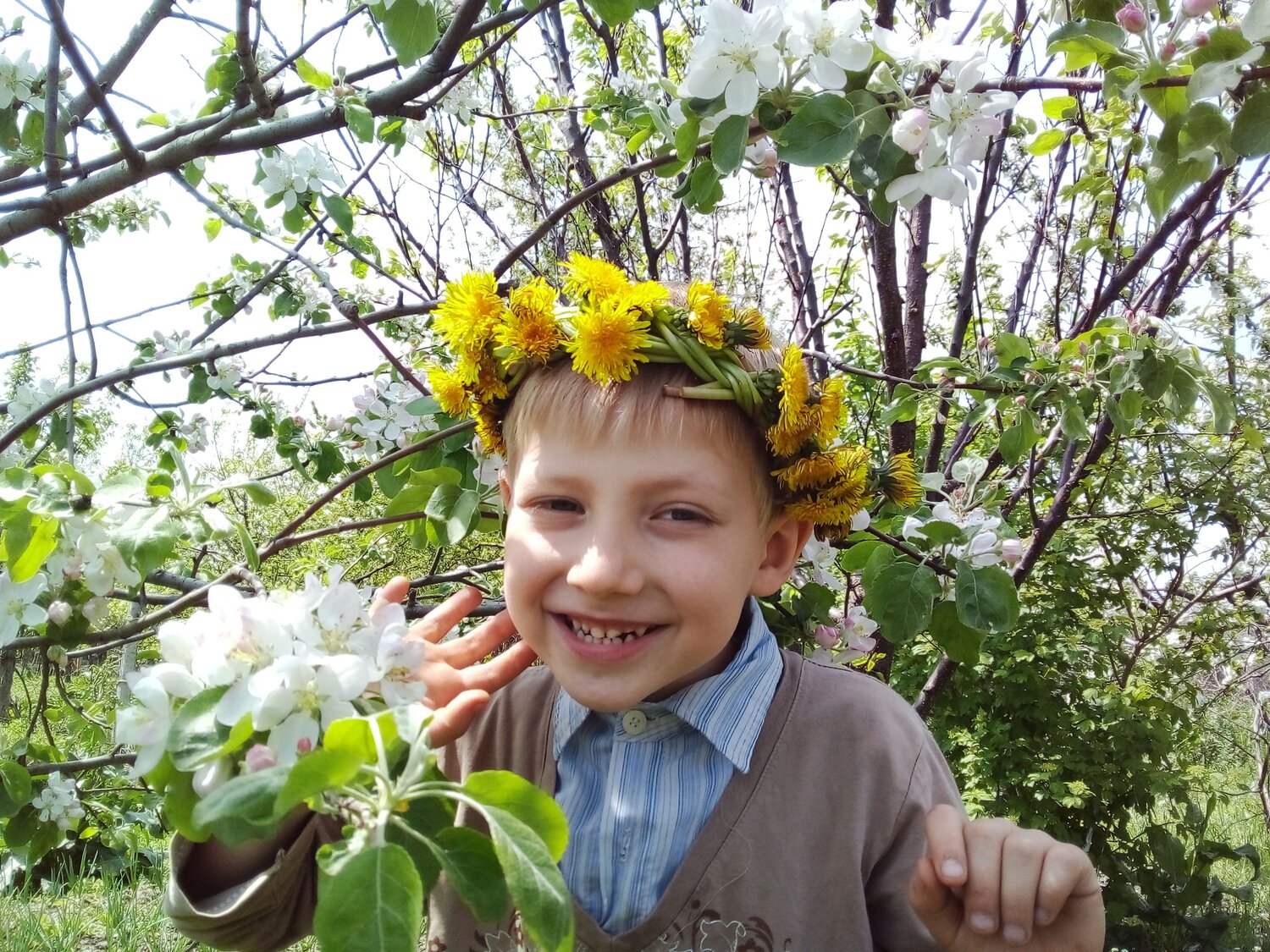 Photo #6701391
