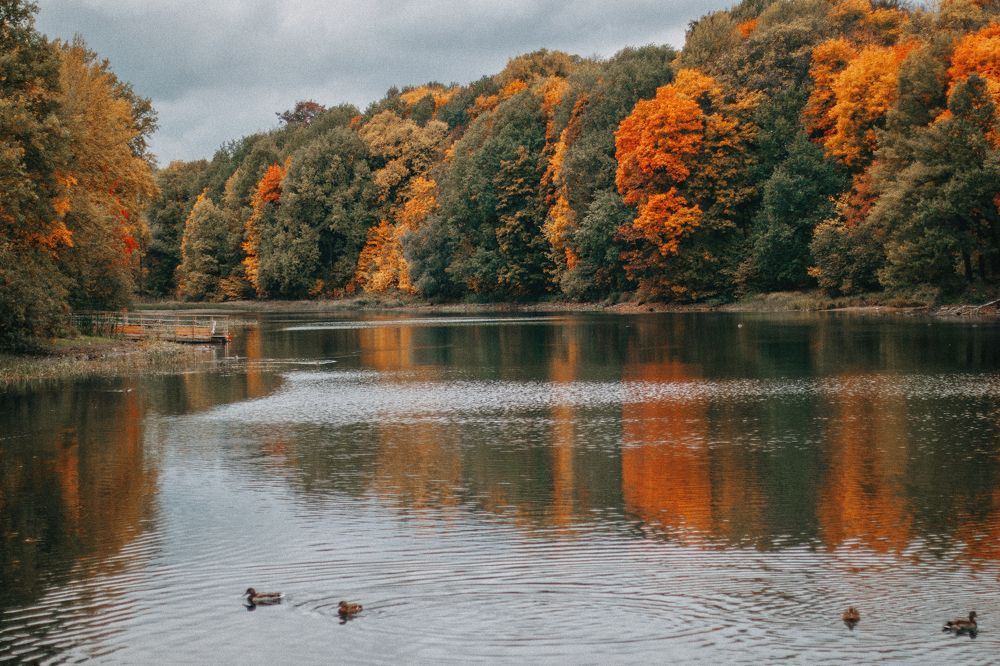 Photograph by Татьяна