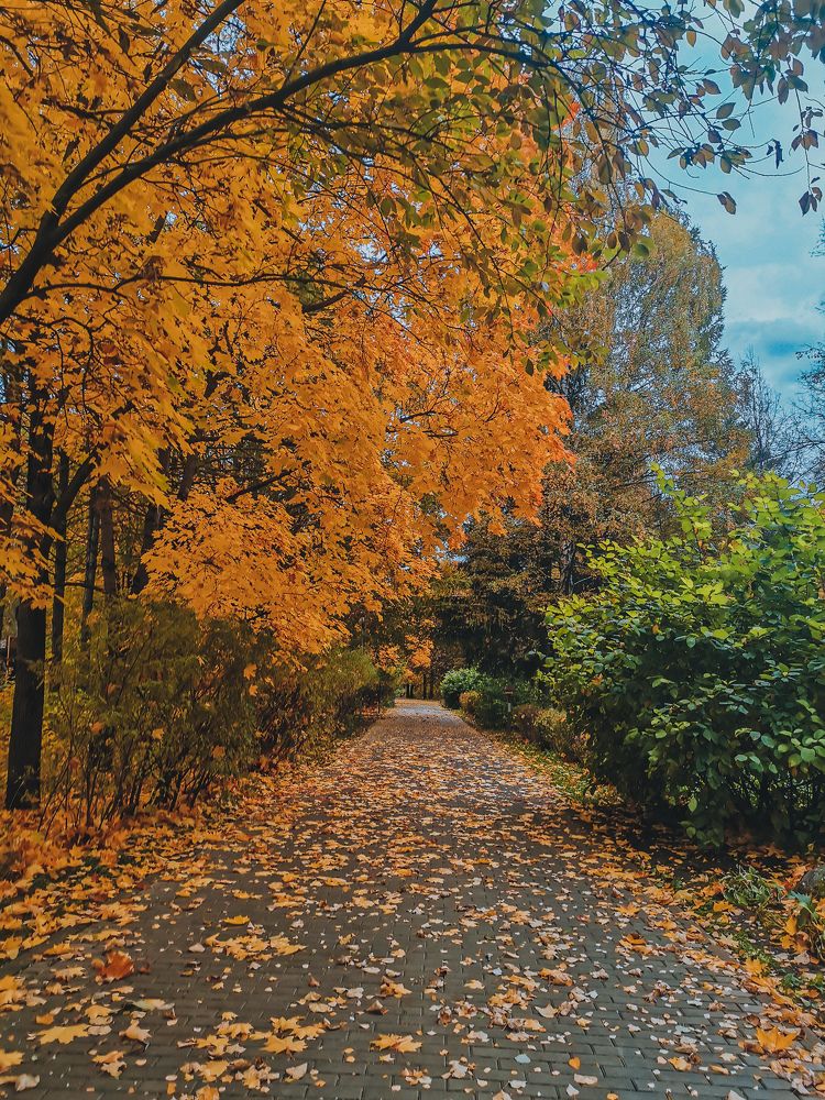 Photograph by Ксения Прохорова