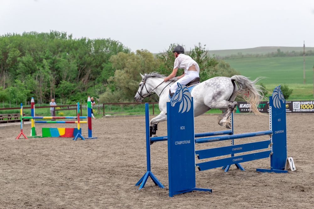 Photograph by Светлана Дегтярева