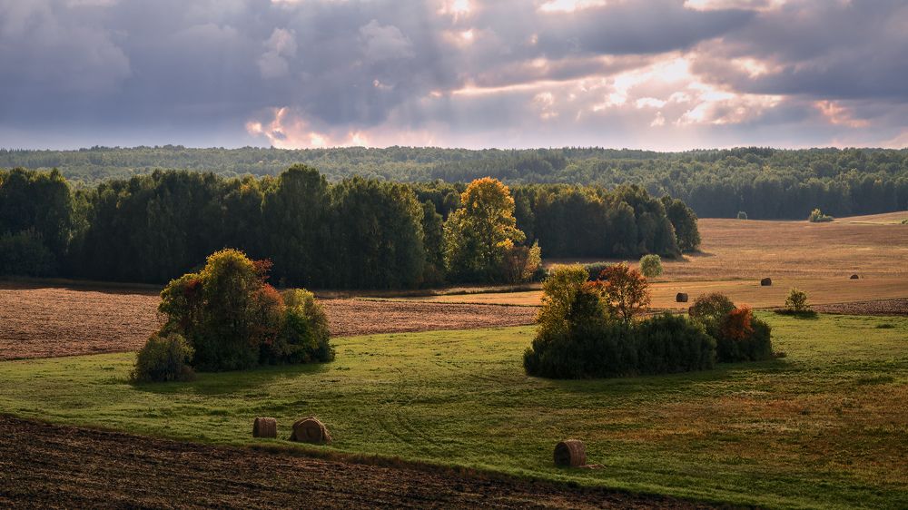 Засентябрило...