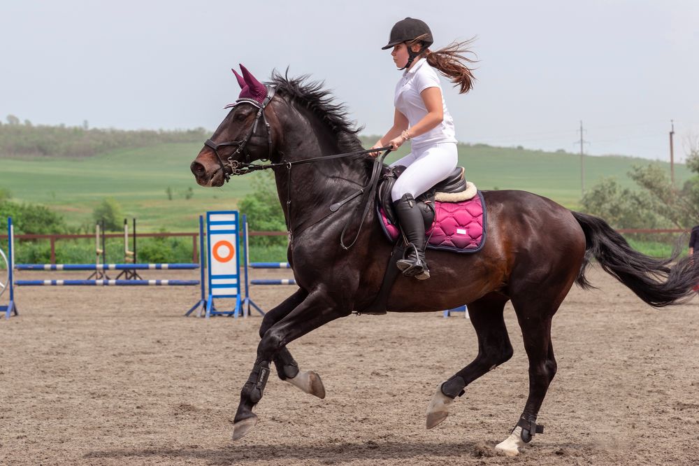 Photograph by Светлана Дегтярева