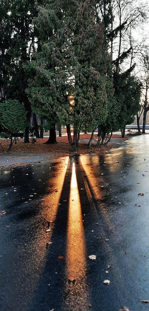 Photograph by Павел Минкевич