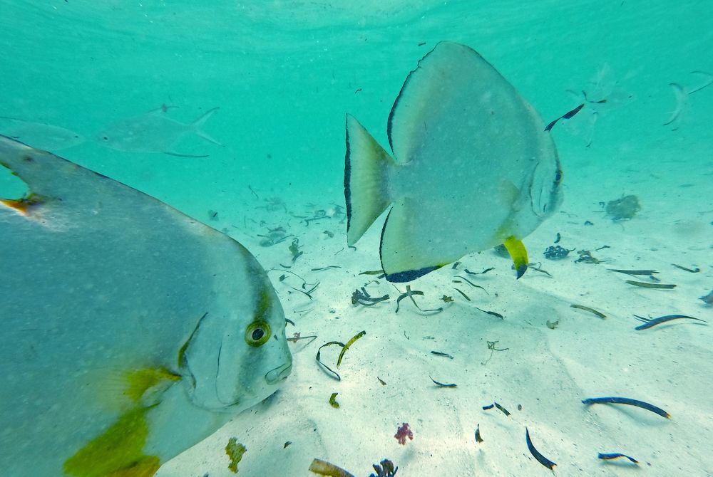 Photograph by Павел Минкевич