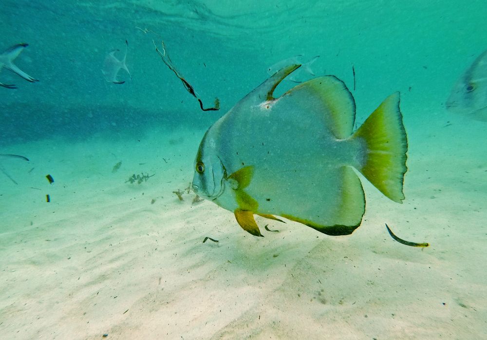 Photograph by Павел Минкевич