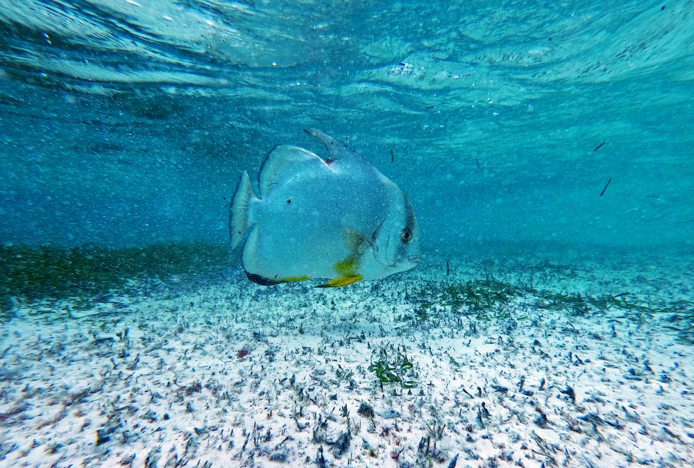 Photograph by Павел Минкевич