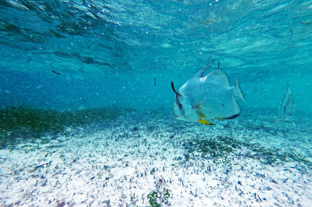 Photograph by Павел Минкевич