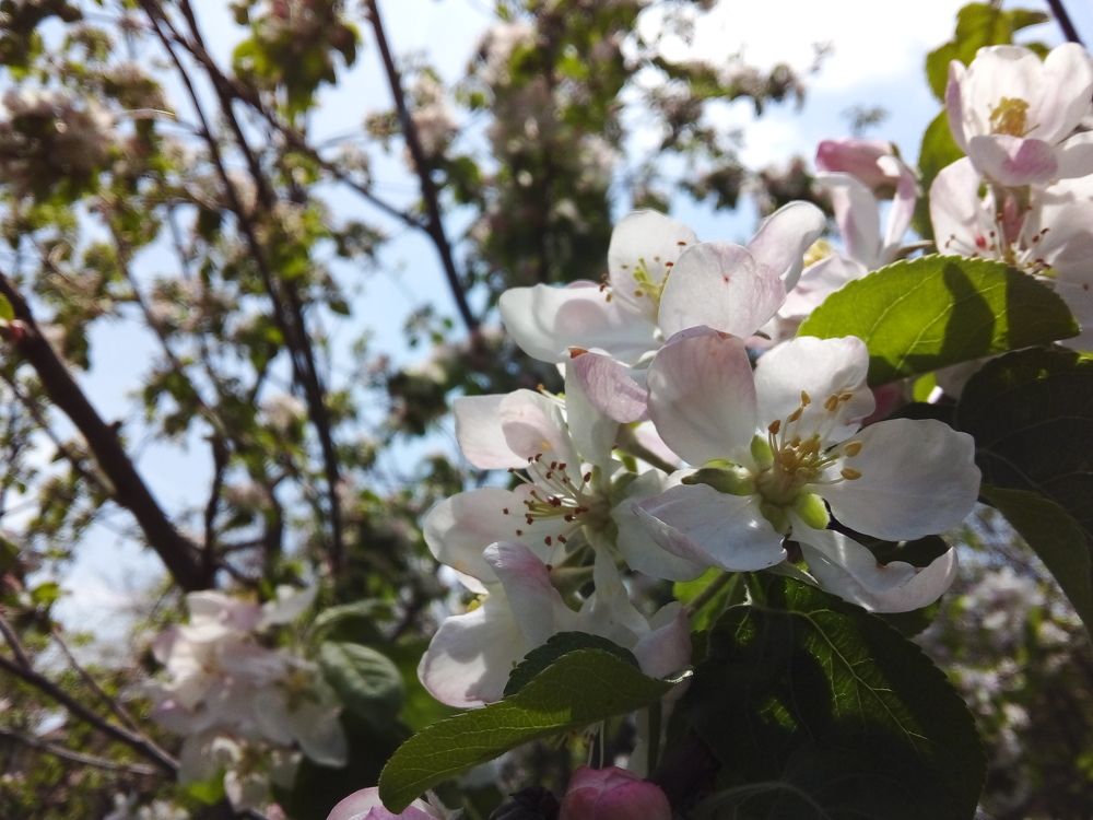 Photo #6701574