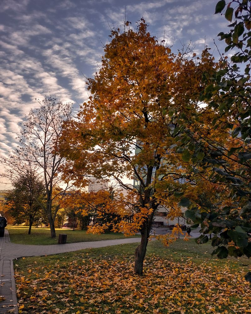 Photograph by Veronika Koneva