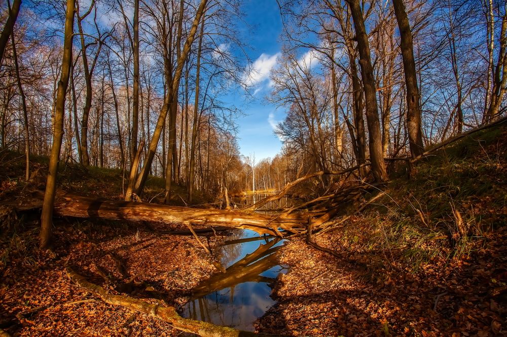 November in the Russian outback