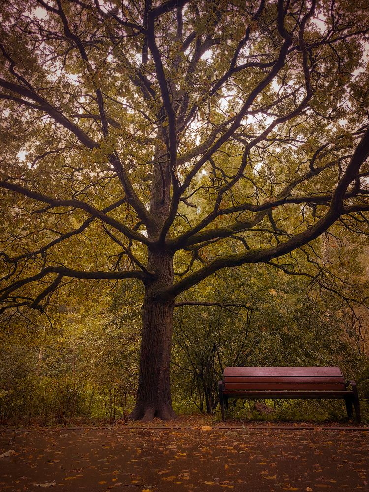 Photograph by Veronika Koneva