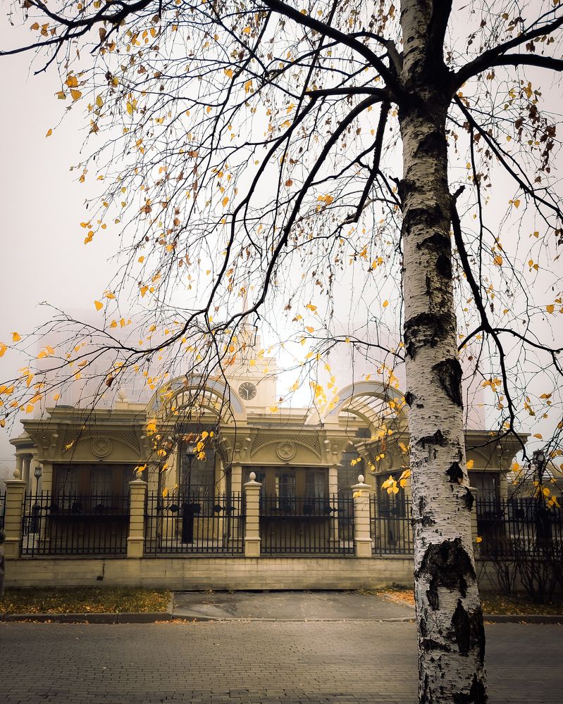 Photograph by Veronika Koneva