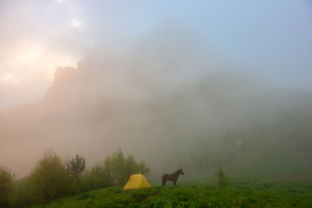 Photograph by Евгений Дробжев