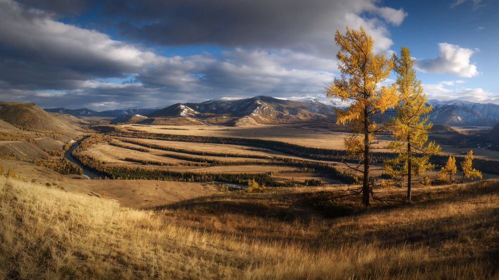 Унесенные осенним ветром