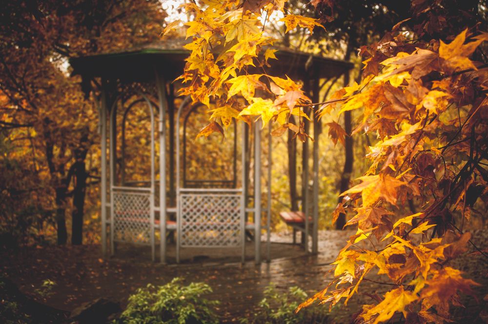 Photograph by Саша Литвин