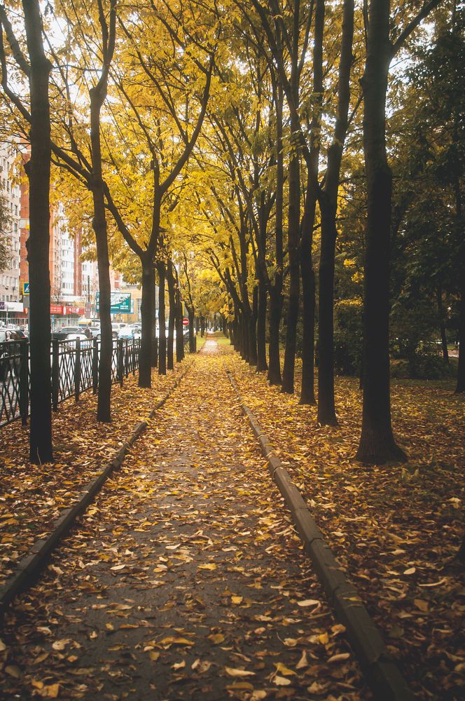 Photograph by Саша Литвин