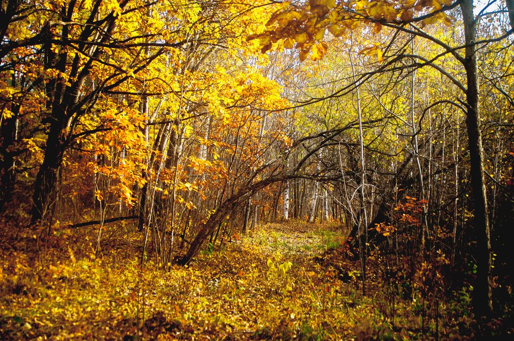 Photograph by Саша Литвин