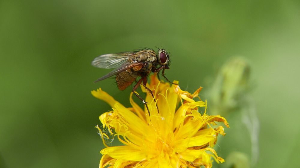 Photograph by Алексей Чернов