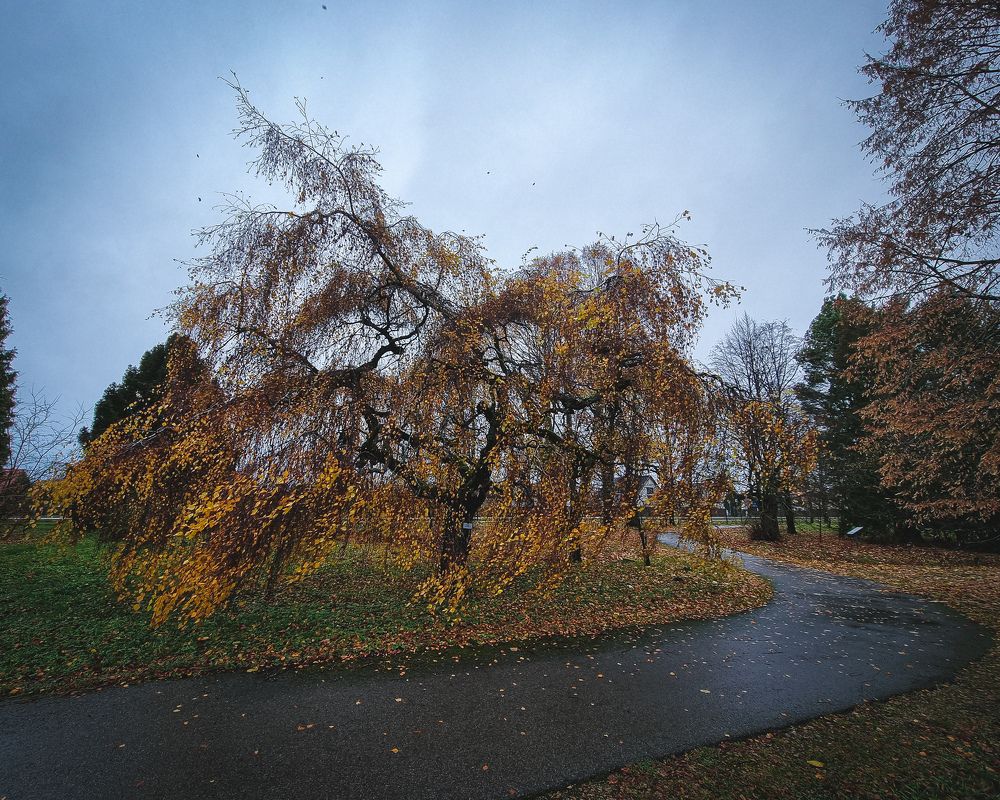 Photograph by Дмитрий Рябцев