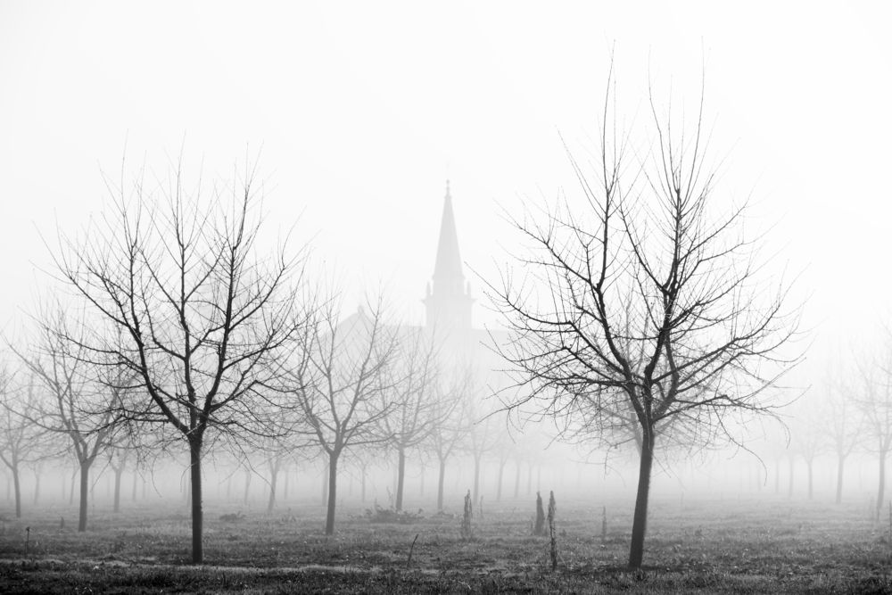 Фотография автора Andrea Gabrieli