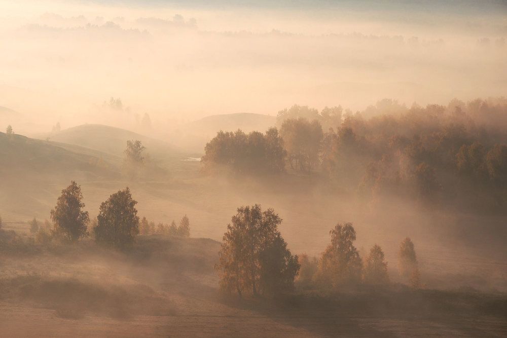 Photograph by Евгений Кудымов