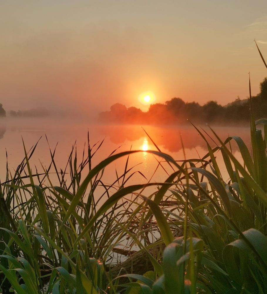 Рассвет на Днепре