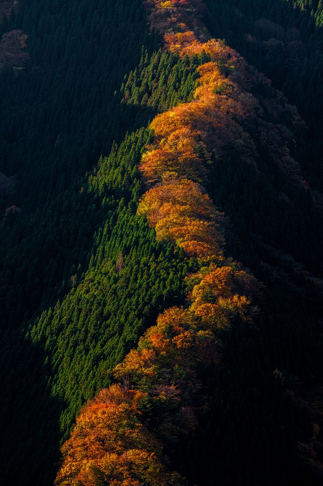 Photograph by si ong the