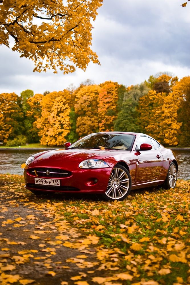 Photograph by Никита