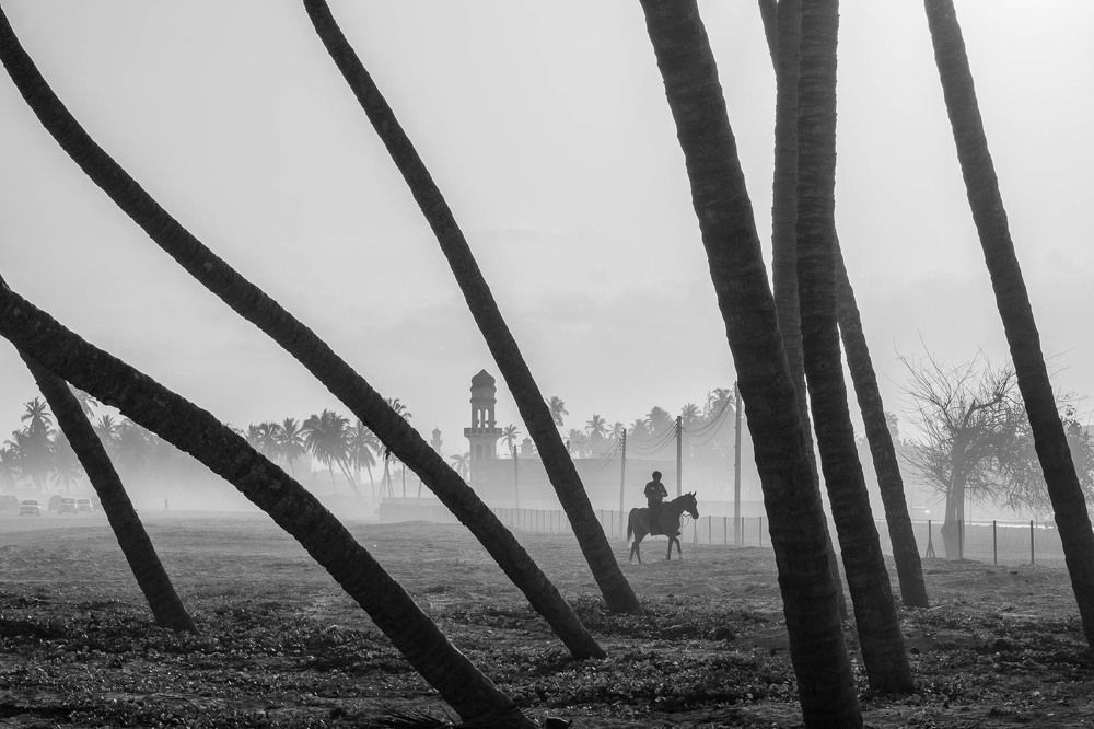 Photograph by Sanjoy Sengupta