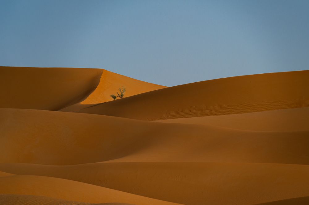 Photograph by Sanjoy Sengupta