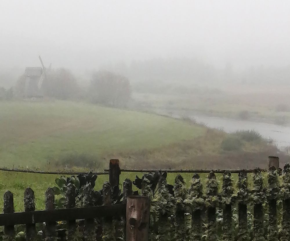 Photograph by Елена Лепешкина