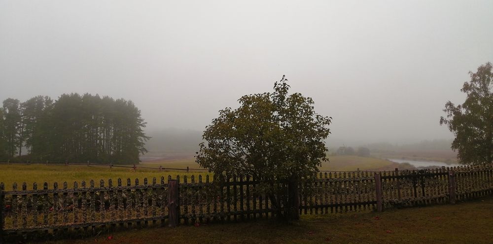 Photograph by Елена Лепешкина