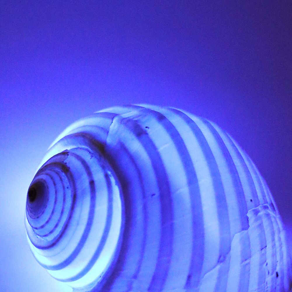 Photograph by Алексей Турсунов