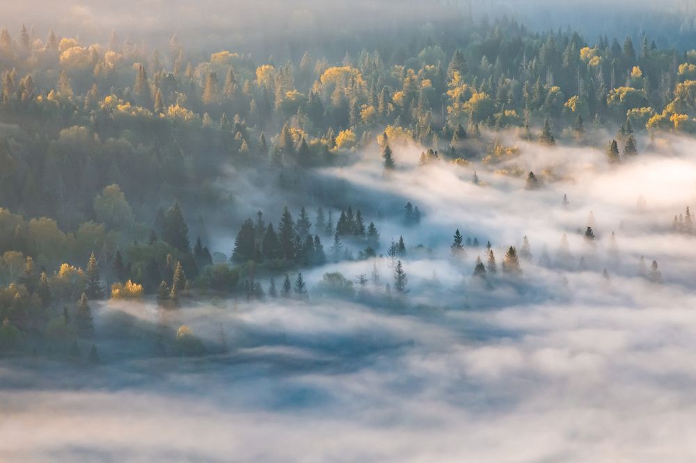 Утренний туман