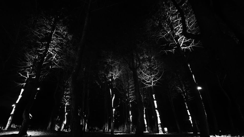 Photograph by Татьяна Козлова