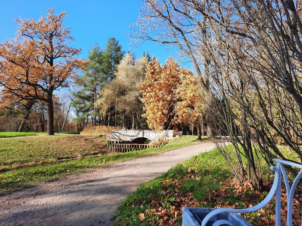 Photograph by Дмитрий Вязьмин